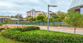 Профессиональное озеленение улиц в Новокузнецке в октябре