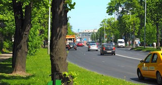 Посадка деревьев и кустарников в Новокузнецке — стоимость от 1233 руб.